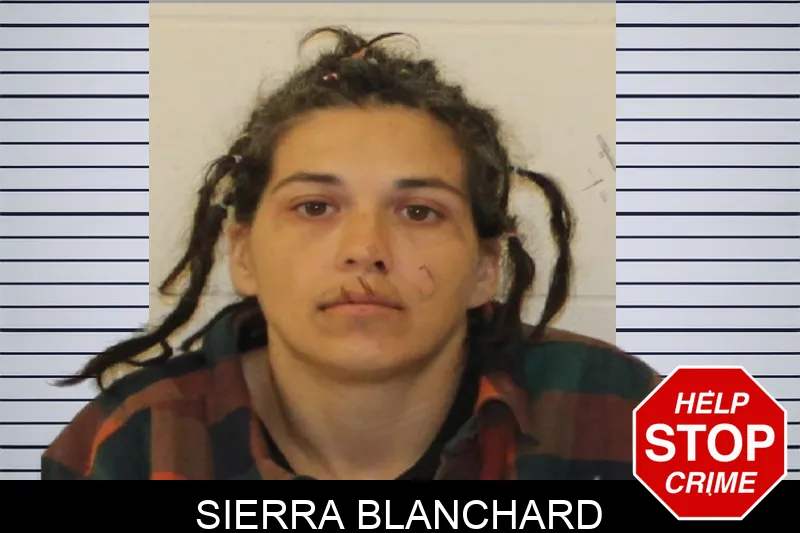Sierra Blanchard mugshot – Johnson County , Georgia Sierra Blanchard mugshot