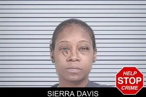 Sierra Davis mugshot