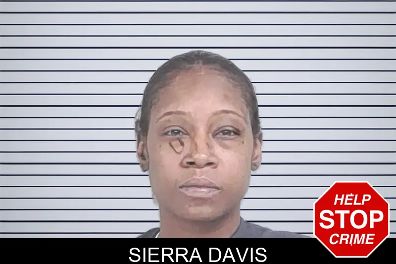 Sierra Davis mugshot