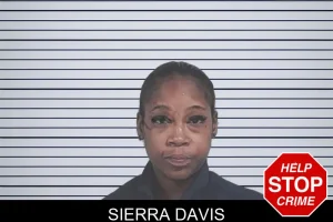 Sierra Davis mugshot