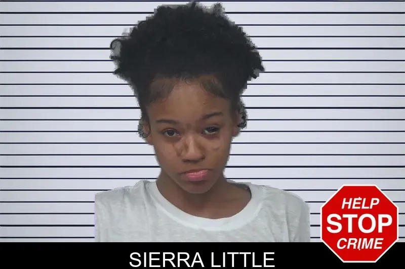 Sierra Little mugshot