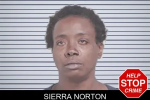 Sierra Norton mugshot