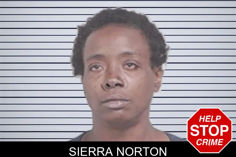 Sierra Norton mugshot – Lowndes County , Georgia Sierra Norton mugshot