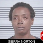 Sierra Norton mugshot – Lowndes County , Georgia Sierra Norton mugshot