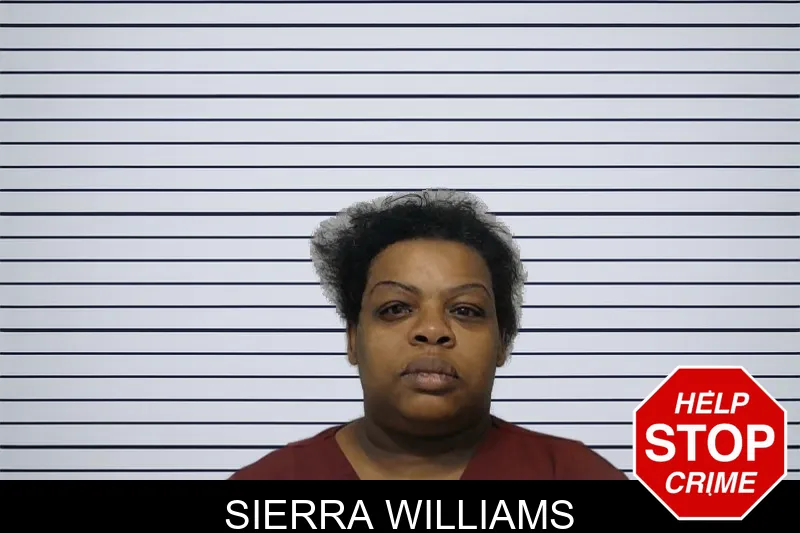 Sierra Williams mugshot