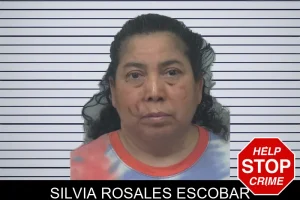 Silvia Rosales Escobar mugshot