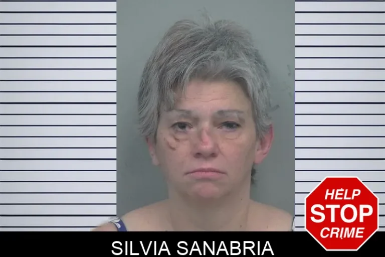 Silvia Sanabria mugshot – Gwinnett County , Georgia Silvia Sanabria