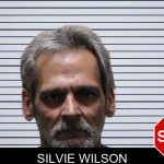Silvie Wilson mugshot