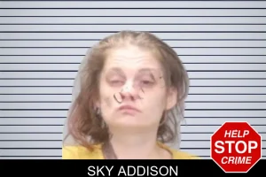 Sky Addison mugshot