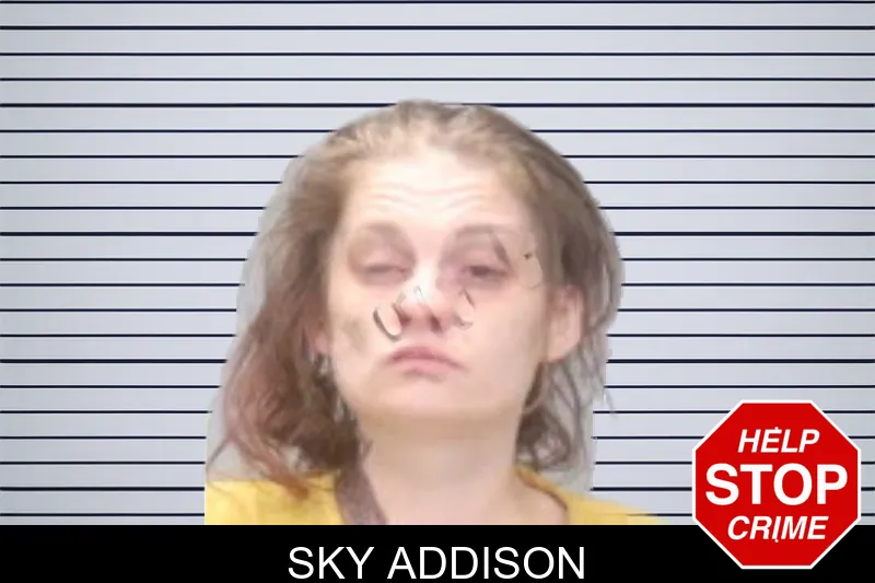 Sky Addison mugshot