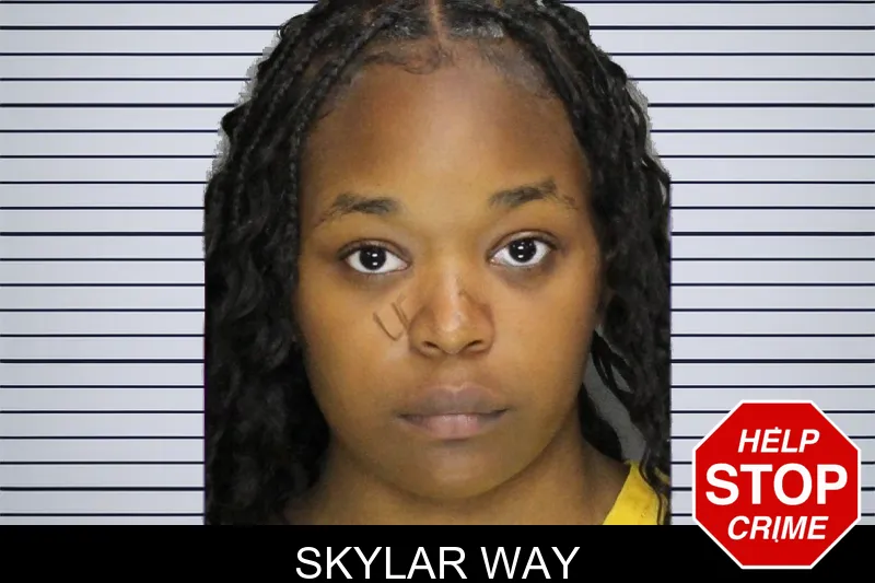 Skylar Way mugshot