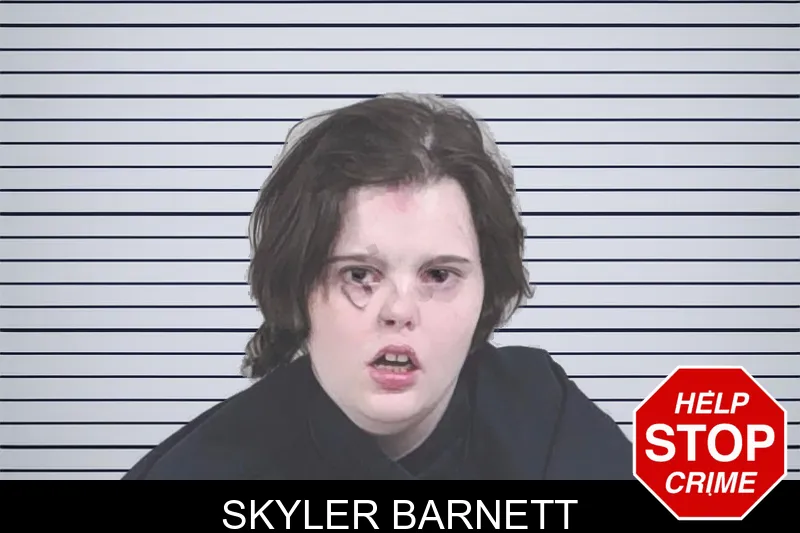 Skyler Barnett mugshot