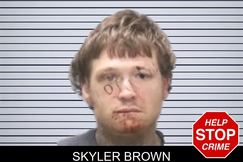 Skyler Brown mugshot