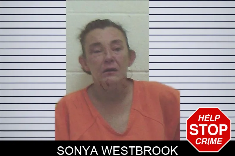 Sonya Westbrook mugshot