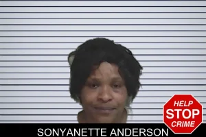 Sonyanette Anderson mugshot