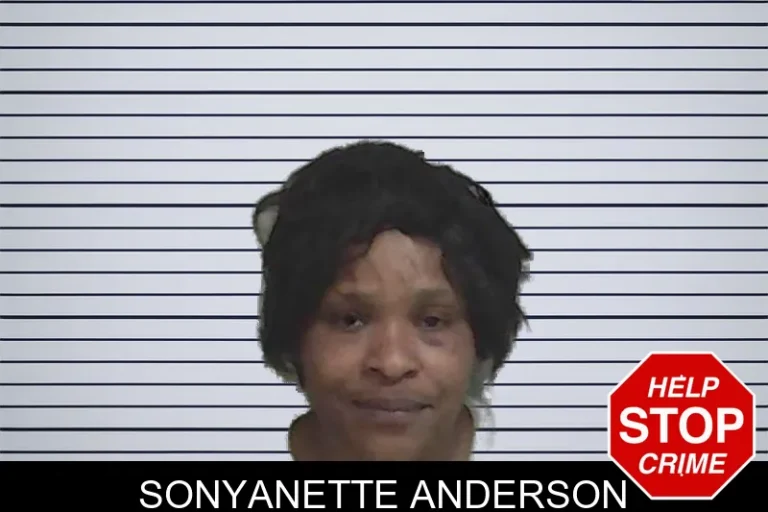 Sonyanette Anderson mugshot – Wayne County , Georgia Sonyanette Anderson