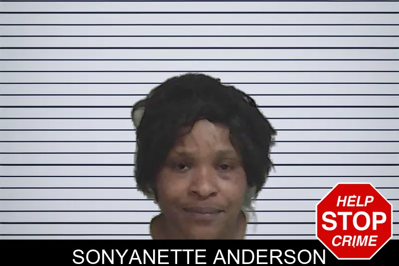 Sonyanette Anderson mugshot
