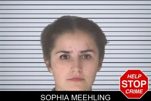 Sophia Meehling mugshot