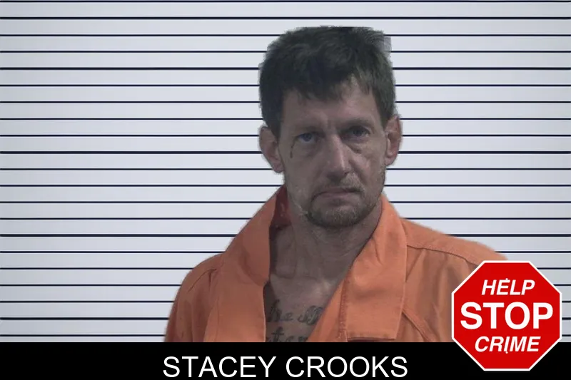 Stacey Crooks mugshot