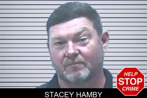 Stacey Hamby mugshot