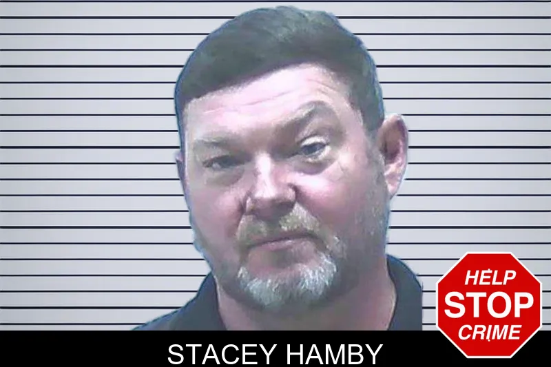 Stacey Hamby mugshot