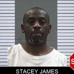 Stacey James mugshot – Baldwin County , Georgia Stacey James mugshot