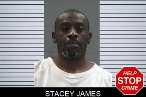 Stacey James mugshot