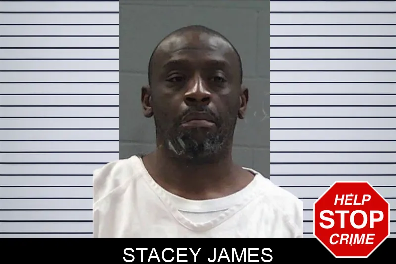 Stacey James mugshot – Baldwin County , Georgia Stacey James mugshot