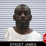 Stacey James mugshot