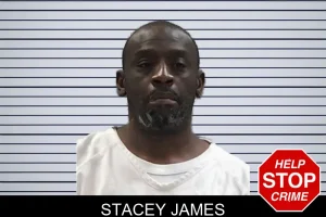 Stacey James mugshot