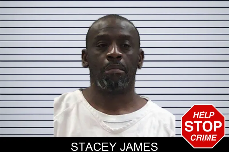 Stacey James mugshot