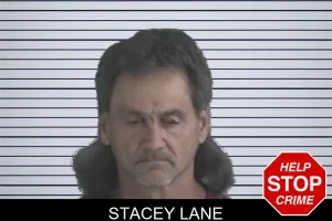 Stacey Lane mugshot