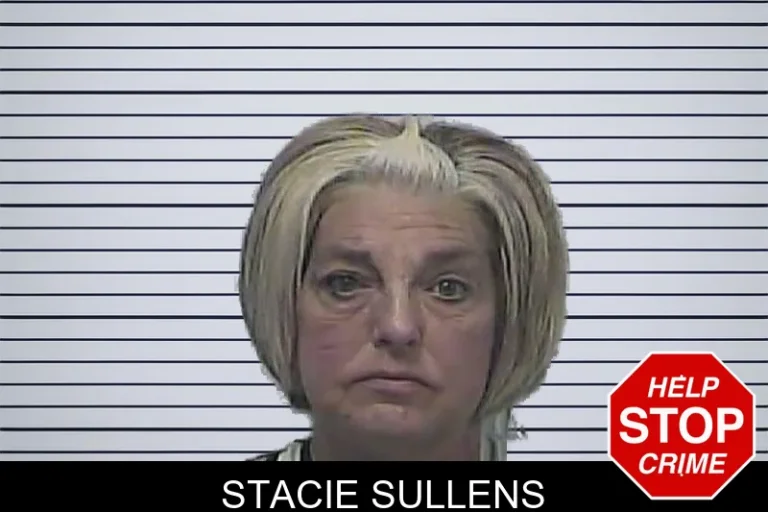Stacie Sullens mugshot – Dawson County , Georgia Stacie Sullens