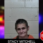 Stacy Mitchell mugshot