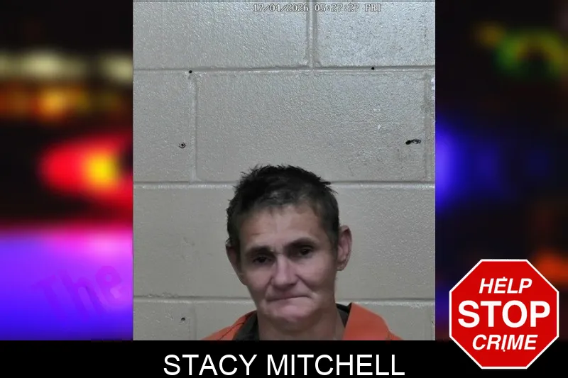 Stacy Mitchell mugshot