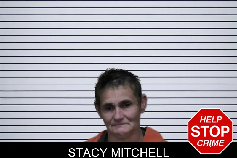 Stacy Mitchell mugshot