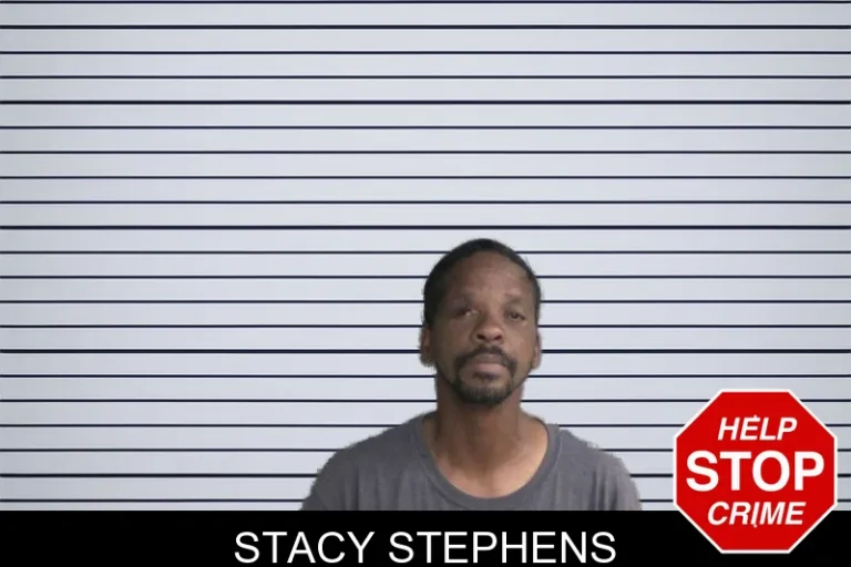 Stacy Stephens mugshot – Twiggs County , Georgia Stacy Stephens