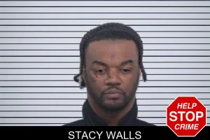 Stacy Walls mugshot