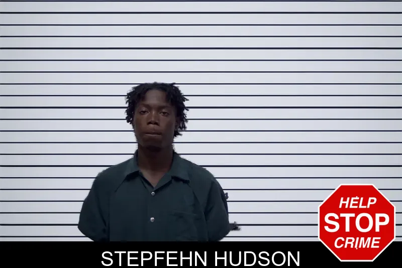 Stepfehn Hudson mugshot