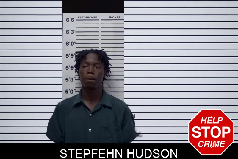 Stepfehn Hudson mugshot