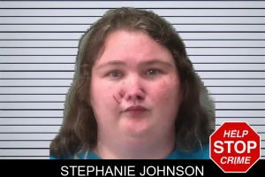 Stephanie Johnson mugshot