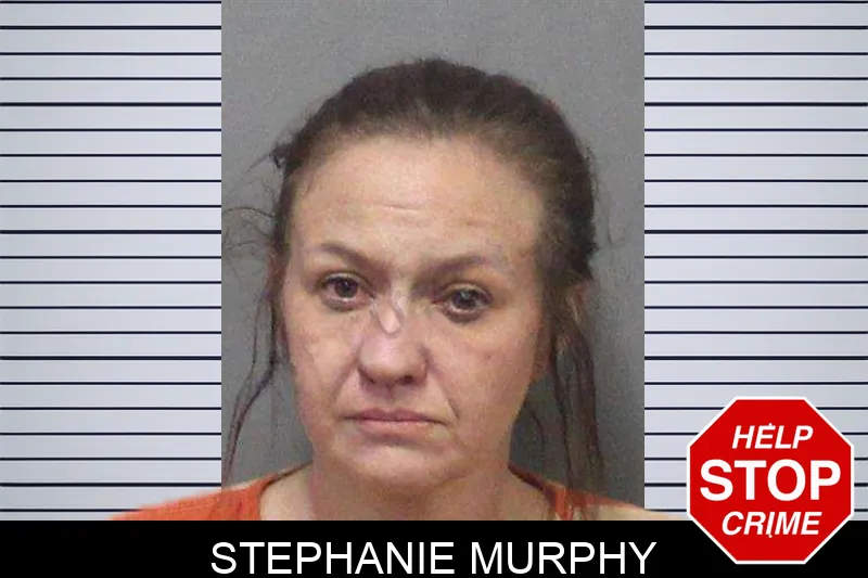 Stephanie Murphy mugshot – White County , Georgia Stephanie Murphy mugshot