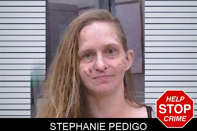 Stephanie Pedigo mugshot – Screven County , Georgia Stephanie Pedigo mugshot