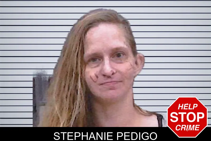 Stephanie Pedigo mugshot – Screven County , Georgia Stephanie Pedigo mugshot