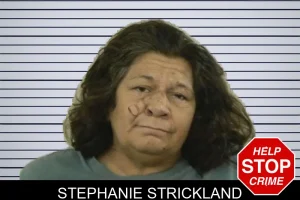 Stephanie Strickland mugshot
