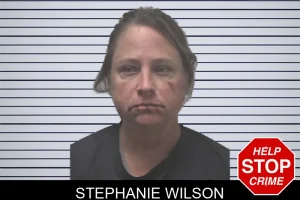 Stephanie Wilson mugshot