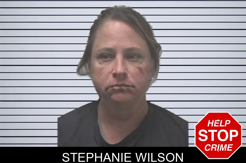Stephanie Wilson mugshot