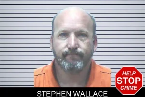 Stephen Wallace mugshot