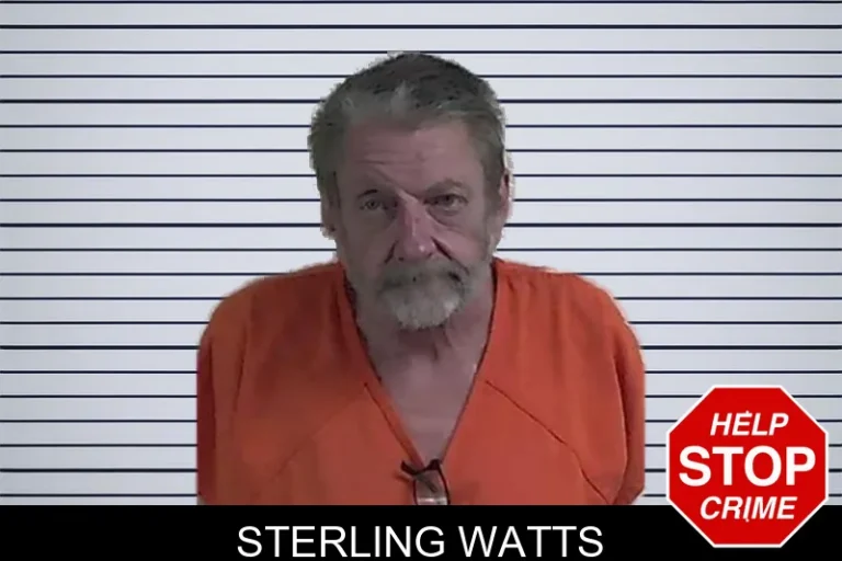 Sterling Watts mugshot – Fannin County , Georgia Sterling Watts
