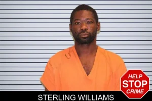 Sterling Williams mugshot